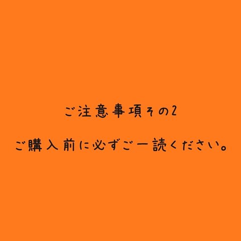 ご注意事項★ご購入前に必ずご一読願います★その2