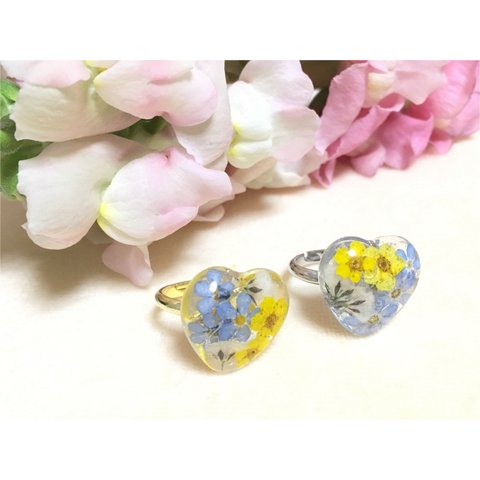 love of spring ring