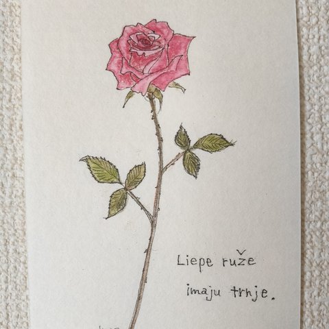 [ 和紙に花•原画 ] 綺麗なバラには棘がある