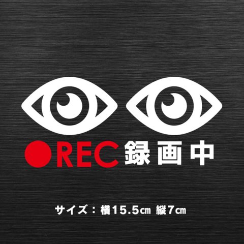 89 煽り運転防止ステッカー【目アイコン】