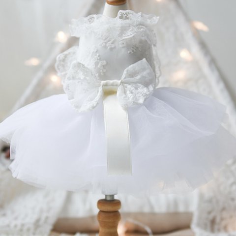White Princess Dress（ご予約）