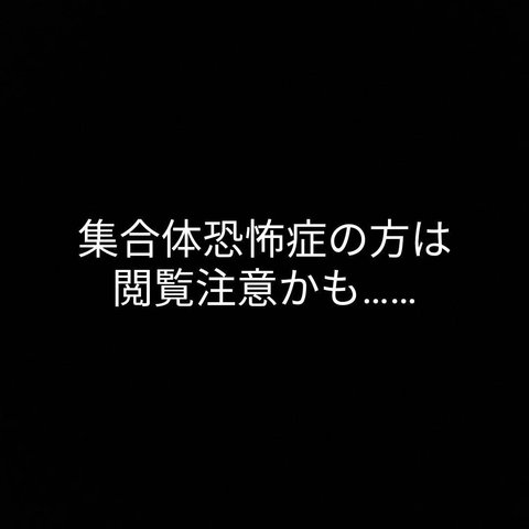 丸モチーフのブランケット