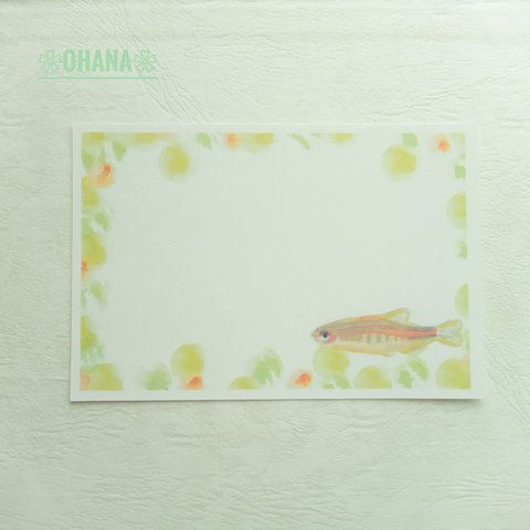 熱帯魚　ポストカード　絵葉書　グッピー　ギフト　誕生日　父の日　暑中見舞い