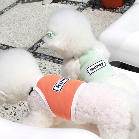 ★ALQEEN★犬服　無料名前入り　シャツ・リボンセット　大型犬対応可能　リボンオプション