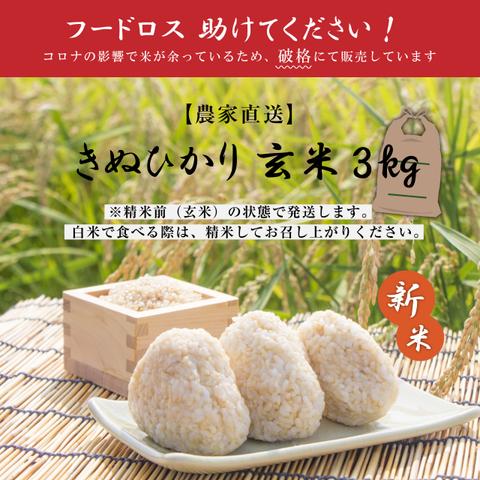 国産玄米3kg（精米前） 【フードロス】三重県産 新米きぬひかり 【在庫限り】