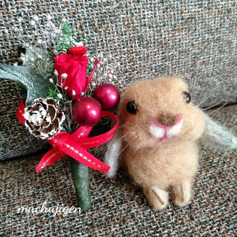 ミニ花束とホーランドロップ☆彡クリスマスだね♪･*:｡✡*:ﾟプリザーブドフラワー×羊毛フェルト