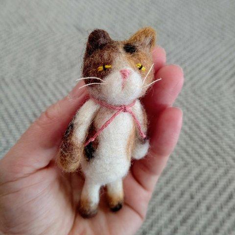 ぶあいそ ねこ ちゃん  三毛猫 