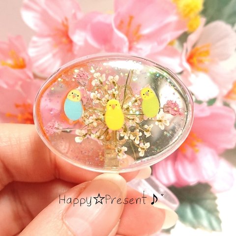 再販×2！仲良しインコの大人可愛い💓flowerキラキラ✴️candyポニーフック❤️✨ 送料無料 限定 春 花 大人女子 プレゼント ラッピング