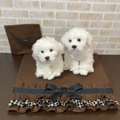 【受注生産】カフェマット（滑り止め付き）フリル&リボンベルト＋2段フリル　 犬・ペット