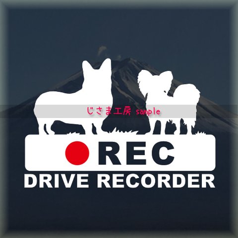 ＤＲＩＶＥＲＥＣ　ステッカー　犬　2頭飼い　多頭飼い　ウエルシュコーギー＆パピヨン