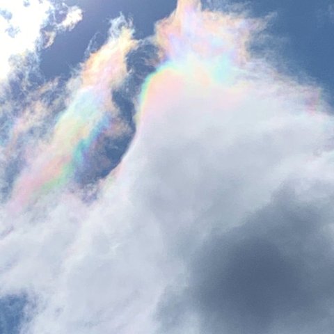 彩雲の写真（量子波動シート入り）