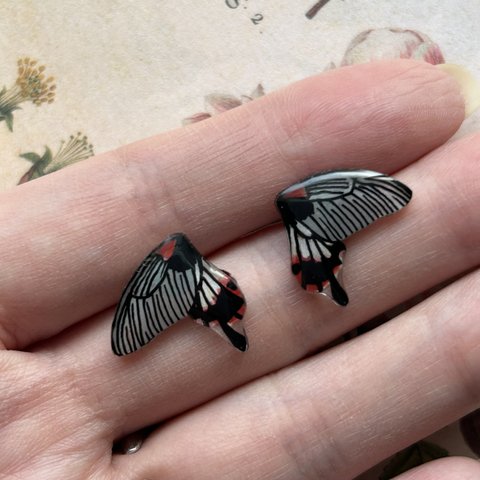 蝶のスタッドピアス　ナガサキアゲハ　有尾型