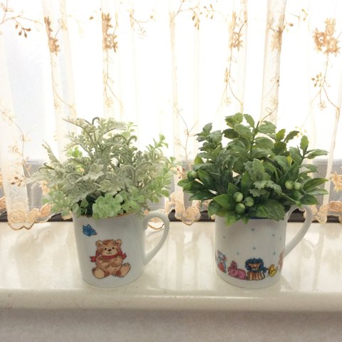 ◇◇癒しのミニ観葉植物◇◇2点セット◇◇     Bセット