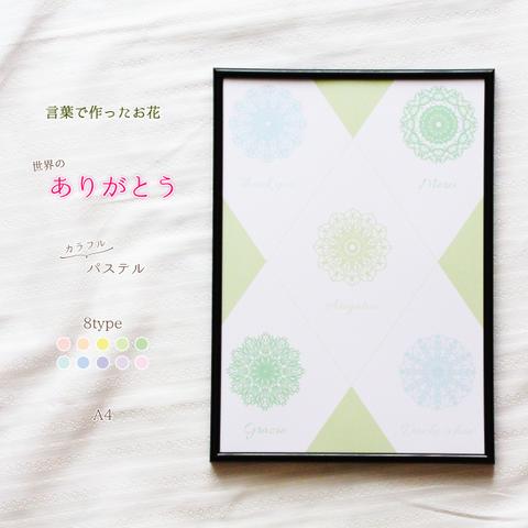 【A4】パステル ポスター カラフル ✿ 世界 の ありがとう で作った 花 ✿ 言葉 のお花