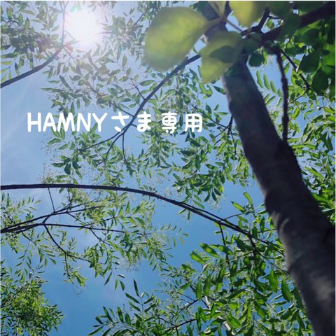 HAMNYさま専用♡スターフラワー＊レッド＊ストロベリー＊30輪ずつ