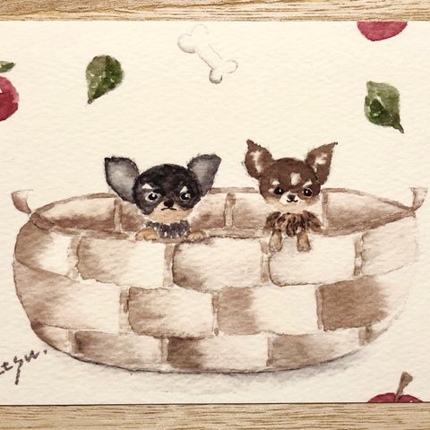 🐶透明水彩画「仲良しチワワ」 北欧イラストポストカード　２枚セット  犬🐶