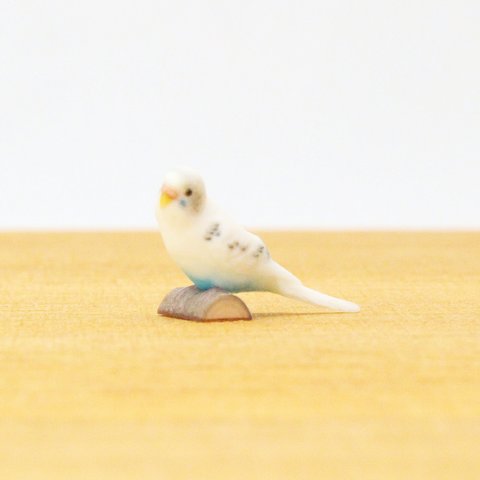 セキセイインコ　ホワイトハルクイン