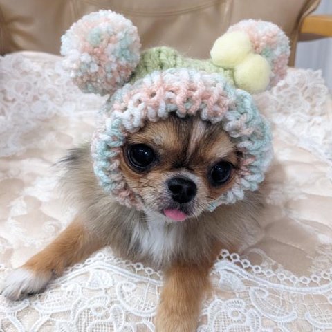 犬SSサイズ ニット ぽんぽん 帽子 ♡ ピスタチオカラー グリーン 猫 帽子 ペット 犬 かぶりもの 被り物 犬帽子 ニット帽 くま クマ