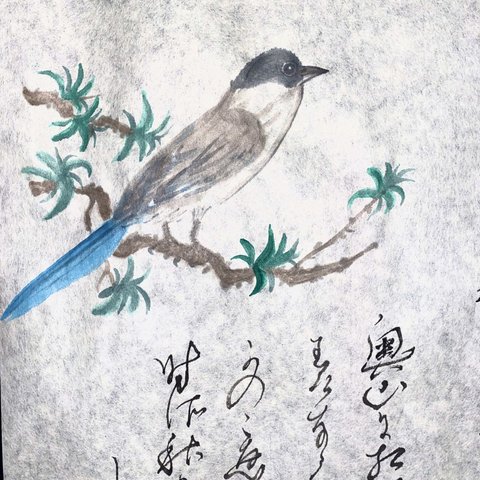 尾長鳥