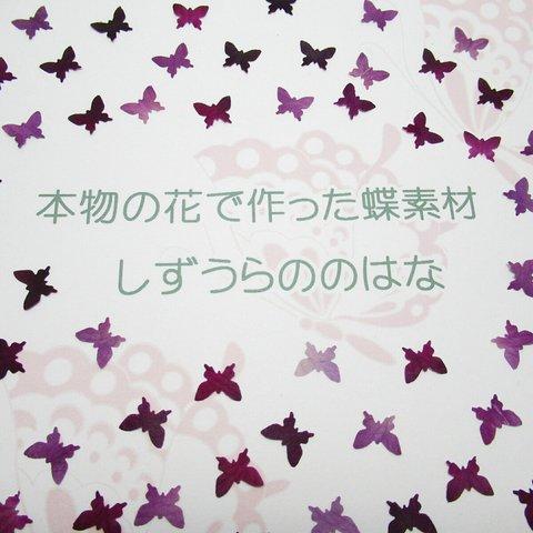 本物の花で作った蝶・１cmサイズ（バラ・紫）５０枚セット　押し花素材　