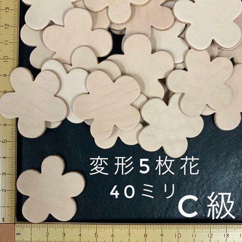 ヌメ革　変形５枚花（４０ｍｍ）Ｃ級　２２枚セット