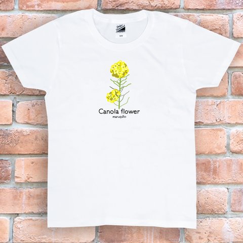 tシャツ　Tシャツ　