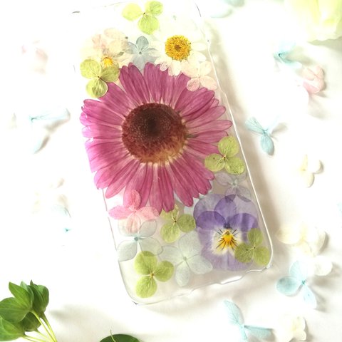 【iPhone6/6s専用】春夏♪グレープガーベラの押し花スマホケース