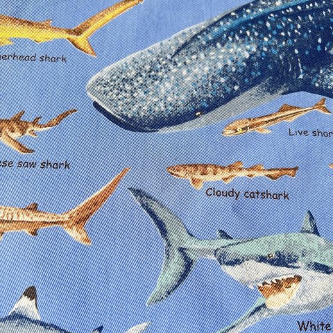 海の生き物好きさん向け給食ナフキン サメだらけ