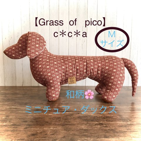 和柄 犬トルソー・マネキン    ミニチュアダックスフント （🌸麻の葉） Ｍサイズ 【Grass  of  pico   c＊c＊a】