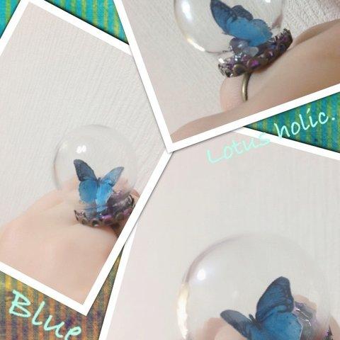 Butterfly　Dome*　Blue