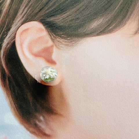 本物のお花とくすみブルーのピアス/イヤリング 花 レジン シンプル