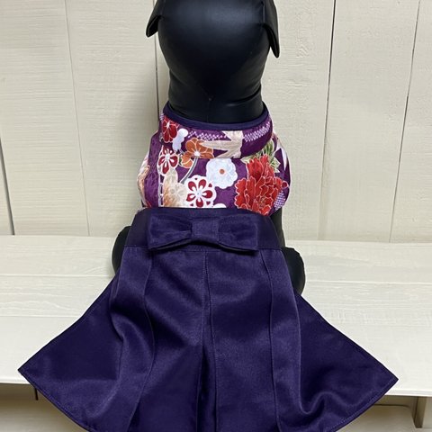 犬の袴　女の子/紫