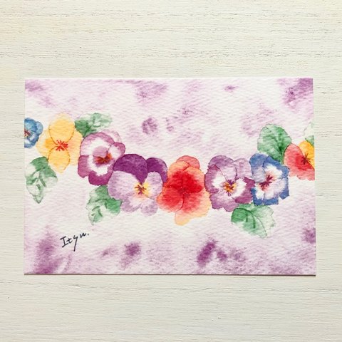 透明水彩画「すみれ色のパンジー」 イラストポストカード　2枚セット　春　秋　花 　パープル