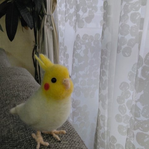 受注製作　羊毛フェルト　オカメインコ