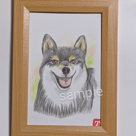 黒柴 ペット似顔絵 柴犬イラスト 見本(送料無料)   犬似顔絵　p14