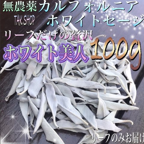 入荷✴︎最上級✴︎カルフォルニア ホワイトセージ リーフ100g✴︎プレゼント付✴︎