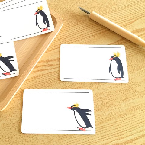 イワトビペンギンのメッセージカード 10枚入 名刺サイズ ミニカード プレゼント ギフトの添え文に 動物 penguin