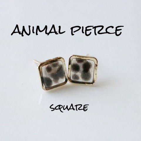 animal pierce(square)