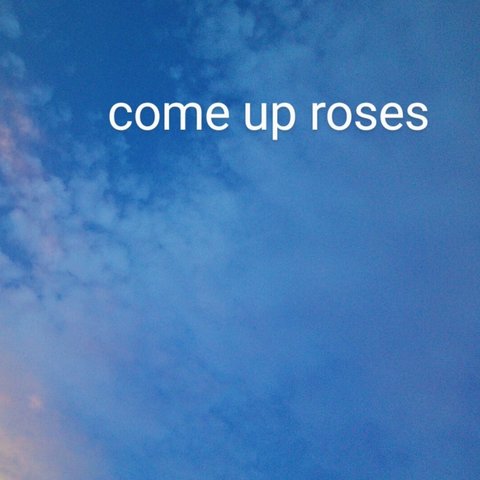 come up roses