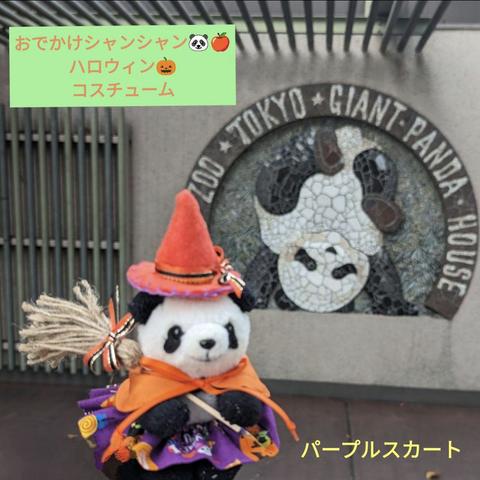 おでかけシャンシャン✿ハロウィンコスチューム♡魔女っ子シャンシャン♡パープルスカート