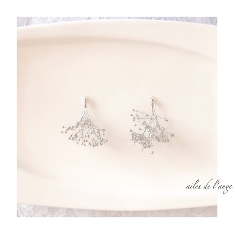 no.873 - gypsophlia《silver》 pi/ea