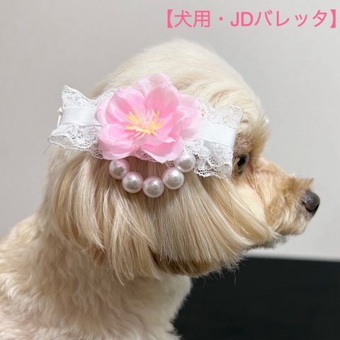 【犬用】リボン　桜　JDバレッタ  誕生日　記念日　セレモニー　お花見　犬ヘアアクセサリー　ペットアクセサリー
