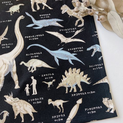 ランチョンマット　ランチマット　給食マット　　男の子　女の子　動物　恐竜　ティラノサウルス　トライセラトプス　恐竜図鑑