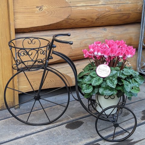 🚲お庭に存在感♡アイアン自転車花台