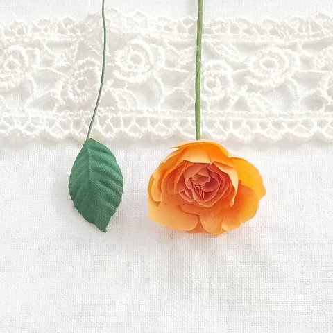 ﾐﾆ布花♡薔薇＊ﾄﾞﾙﾁｪｳﾞｨｰﾀ