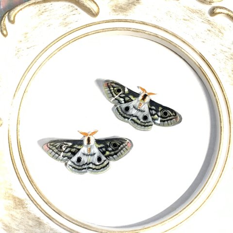 手描きのEmperor mothのスタッドピアス　イヤリング　クジャクヤママユ　大きめサイズ　再販