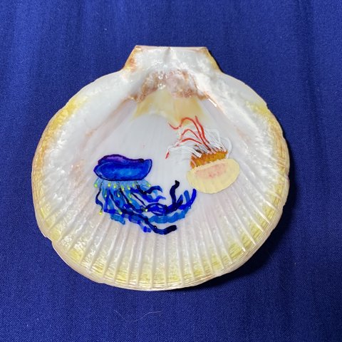 カツオノエボシとエチゼンクラゲ ツキヒガイ 1 原画 イーゼル付き