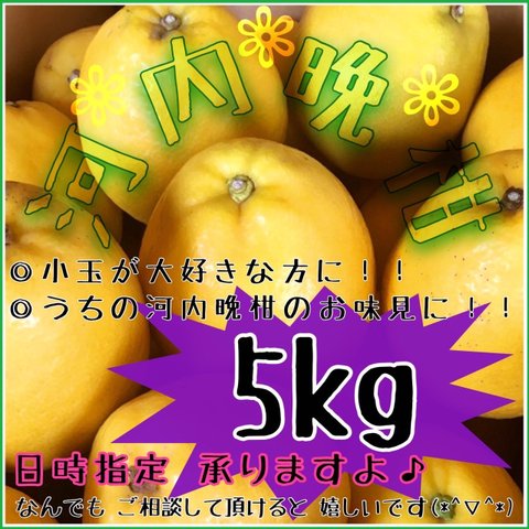 【北海道 沖縄のお客様用】ご試食 お・た・め・し小箱《河内晩柑/えひめ産》【小玉☆訳あり】