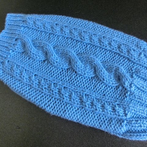 №35　ワンちゃんセーター　スカイブルーの縄編みセーター