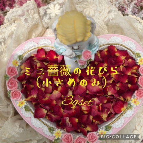 小さなミニ薔薇の花びら（小さめのみ）3gセット★ミニバラ 花弁　ドライフラワー花材★ハンドメイド素材★レジン加工でアクセサリーやスマホケースなどの小物作りに★